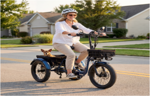Viribus Bikes